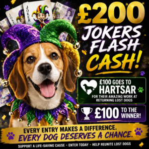 £200 Flash Cash - £100 to HARTSAR Dog Drone rescue - £100 to the winner
